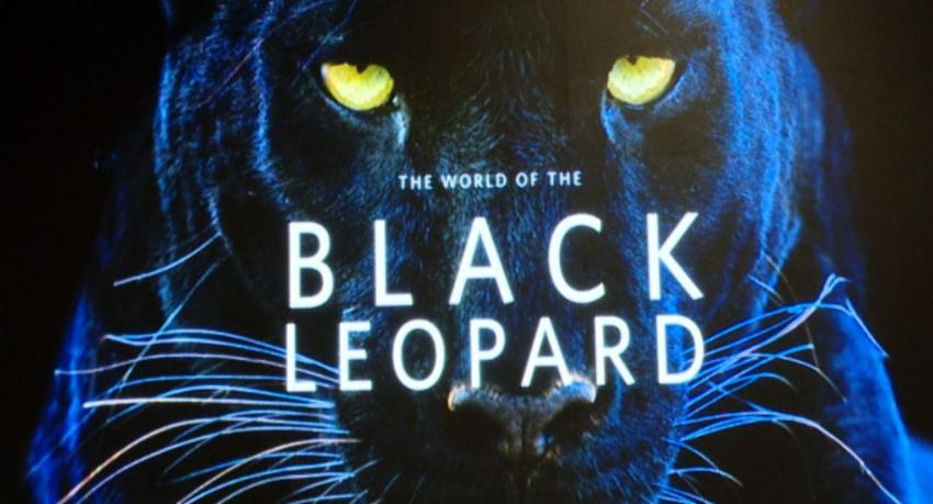 Sri Lankan Explorer Tracks Elusive Black Leopard